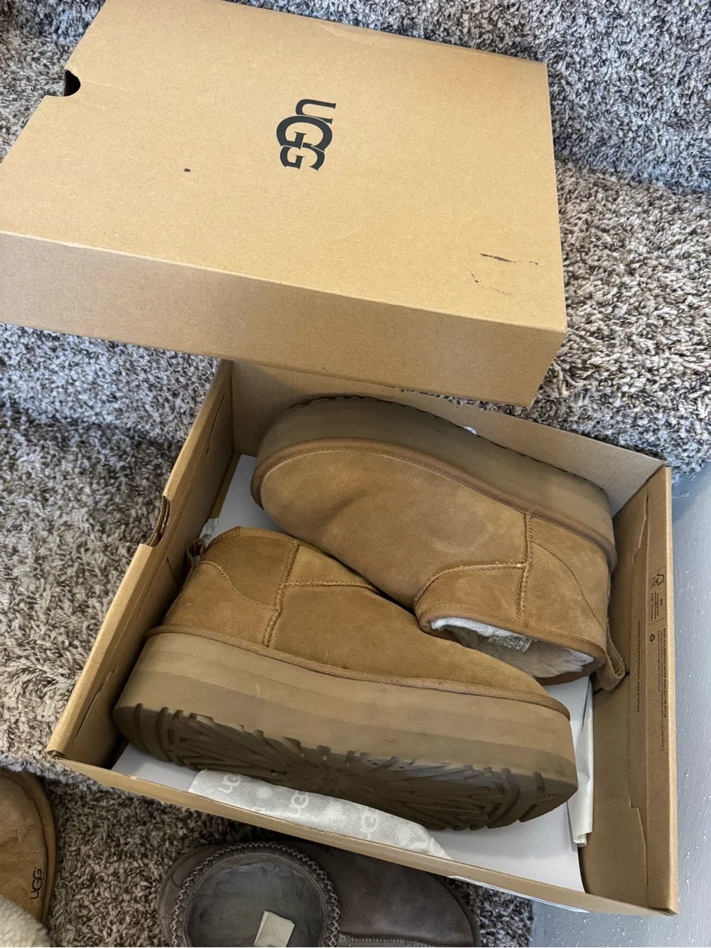 UGG Chestnut Suede Platform Ankle Boots